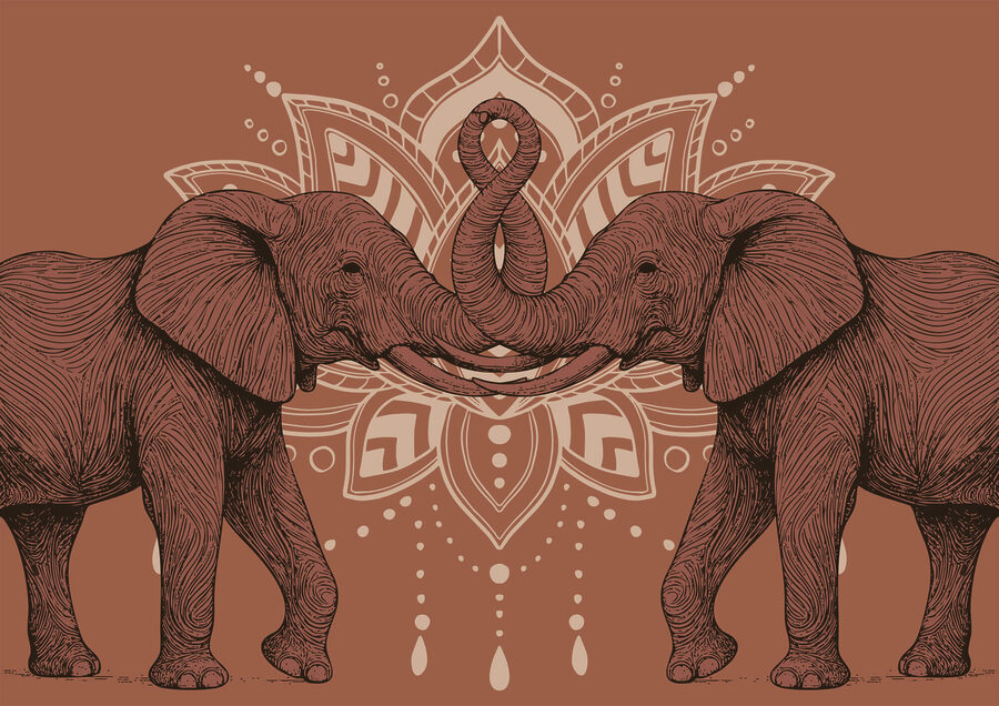 Deux éléphants dont les trompes se touchent