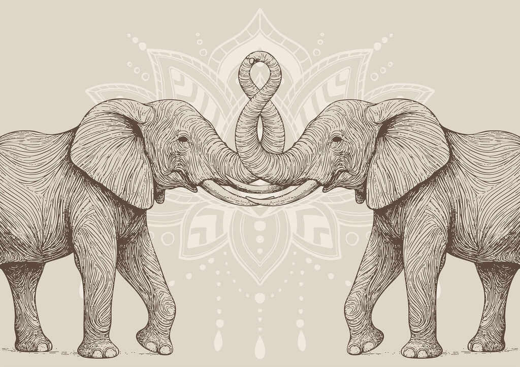 Deux éléphants avec leur trompe enroulée Deux éléphants avec leur trompe enroulée