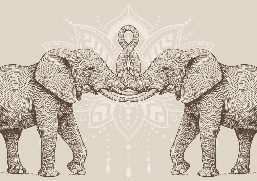 Deux éléphants avec leur trompe enroulée