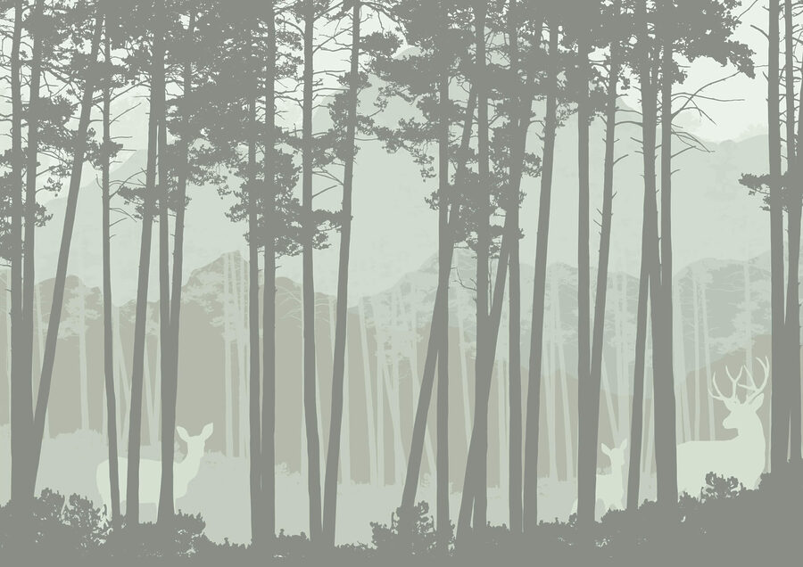 Groupe d'arbres dans une forêt