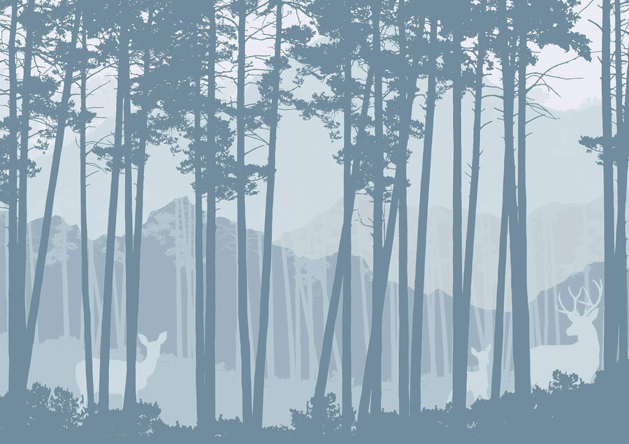 Papier peint Groupe d'arbres dans une forêt – Image 3