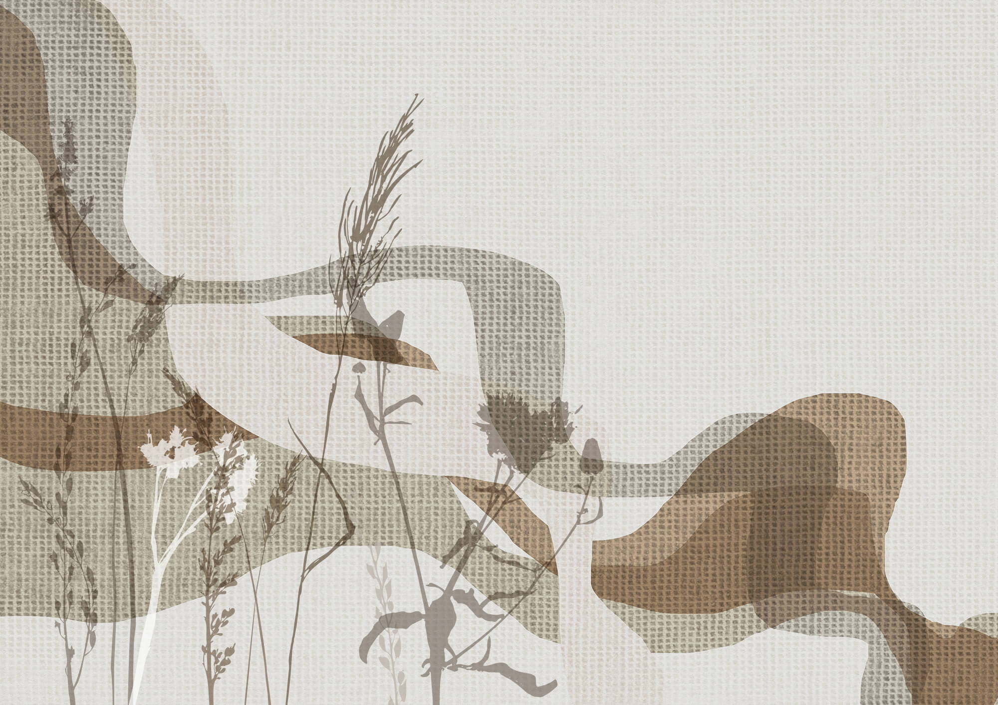 Gentle hues of nature's beauty Gentle hues of nature's beauty