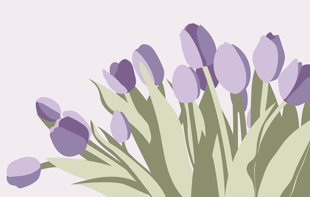 Bouquet de tulipes violettes Bouquet de tulipes violettes