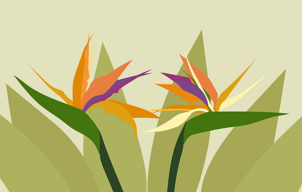 Fleurs colorées sur des tiges vertes Fleurs colorées sur des tiges vertes