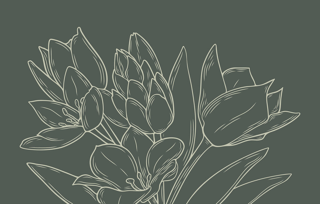 Dessin de fleurs sur une plante Dessin de fleurs sur une plante