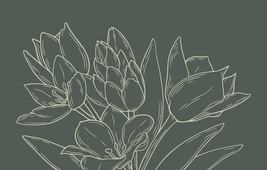 Dessin de fleurs sur une plante