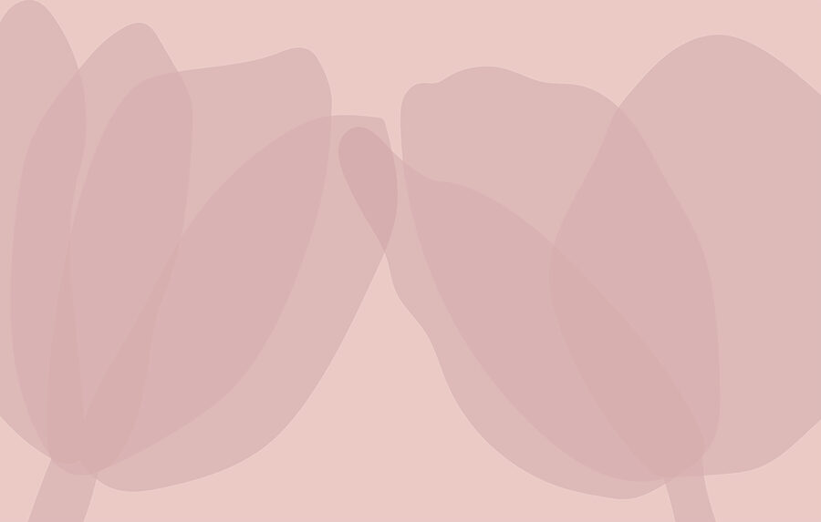 Fond rose et blanc