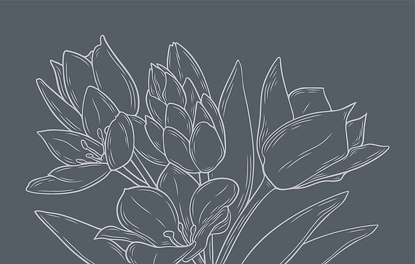 Fleurs délicates sur fond sombre Fleurs délicates sur fond sombre