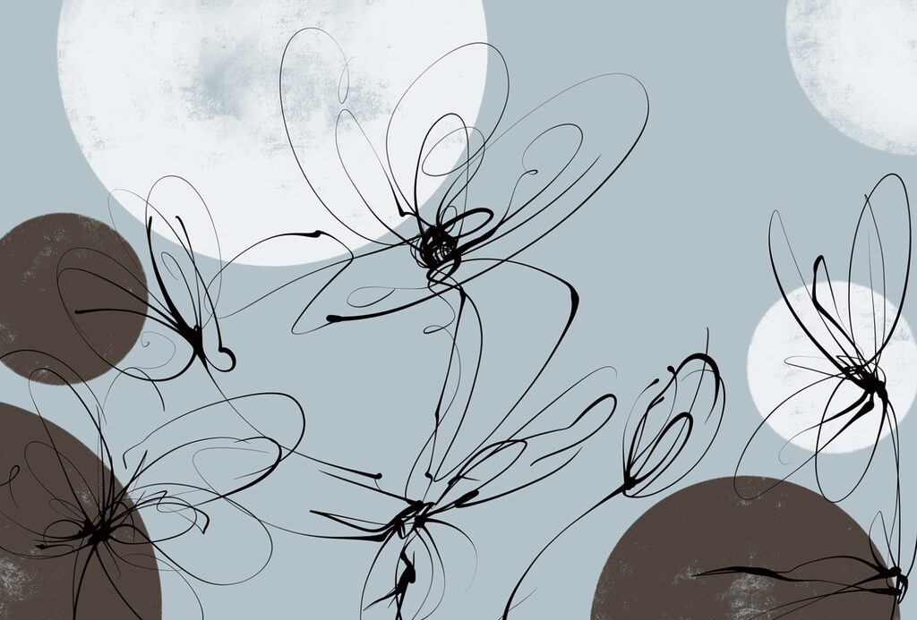 Drawing of flowers and circles Drawing of flowers and circles