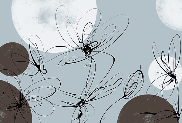 Drawing of flowers and circles Drawing of flowers and circles