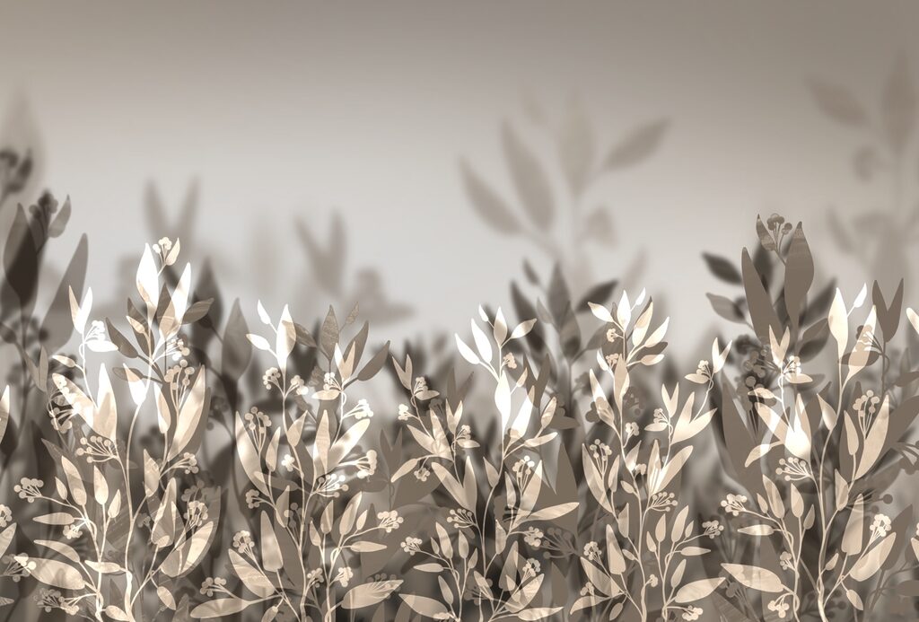 Feuilles douces dans des ombres douces t00169p 1024x693 - Feuilles douces dans des ombres douces