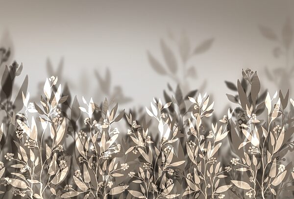 Feuilles douces dans des ombres douces t00169p 600x406 - Feuilles douces dans des ombres douces
