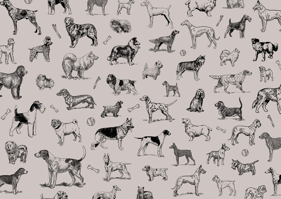 Groupe de chiens dans différentes poses