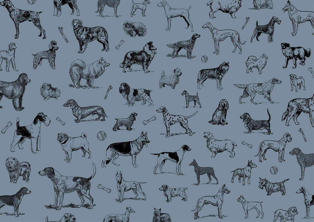 Groupe de chiens sur fond bleu t00173v1p 1024x724 - Groupe de chiens sur fond bleu