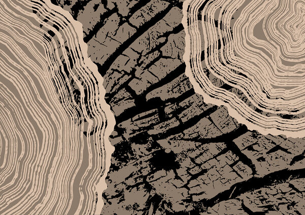 Des motifs saisissants de la beauté de la nature Des motifs saisissants de la beauté de la nature