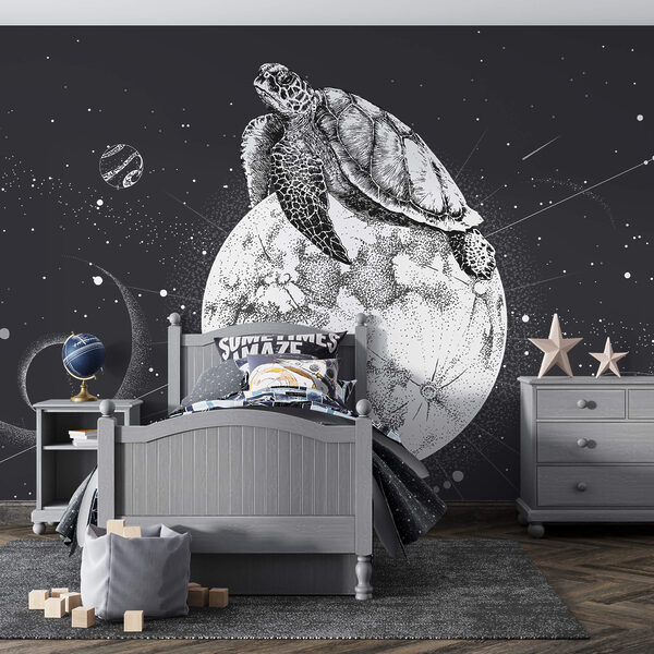 Tortue sur la lune Tortue sur la lune