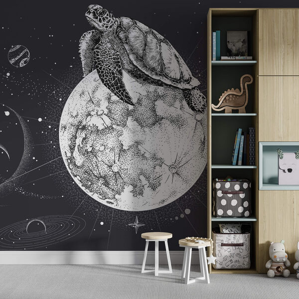 Tortue sur la lune Tortue sur la lune