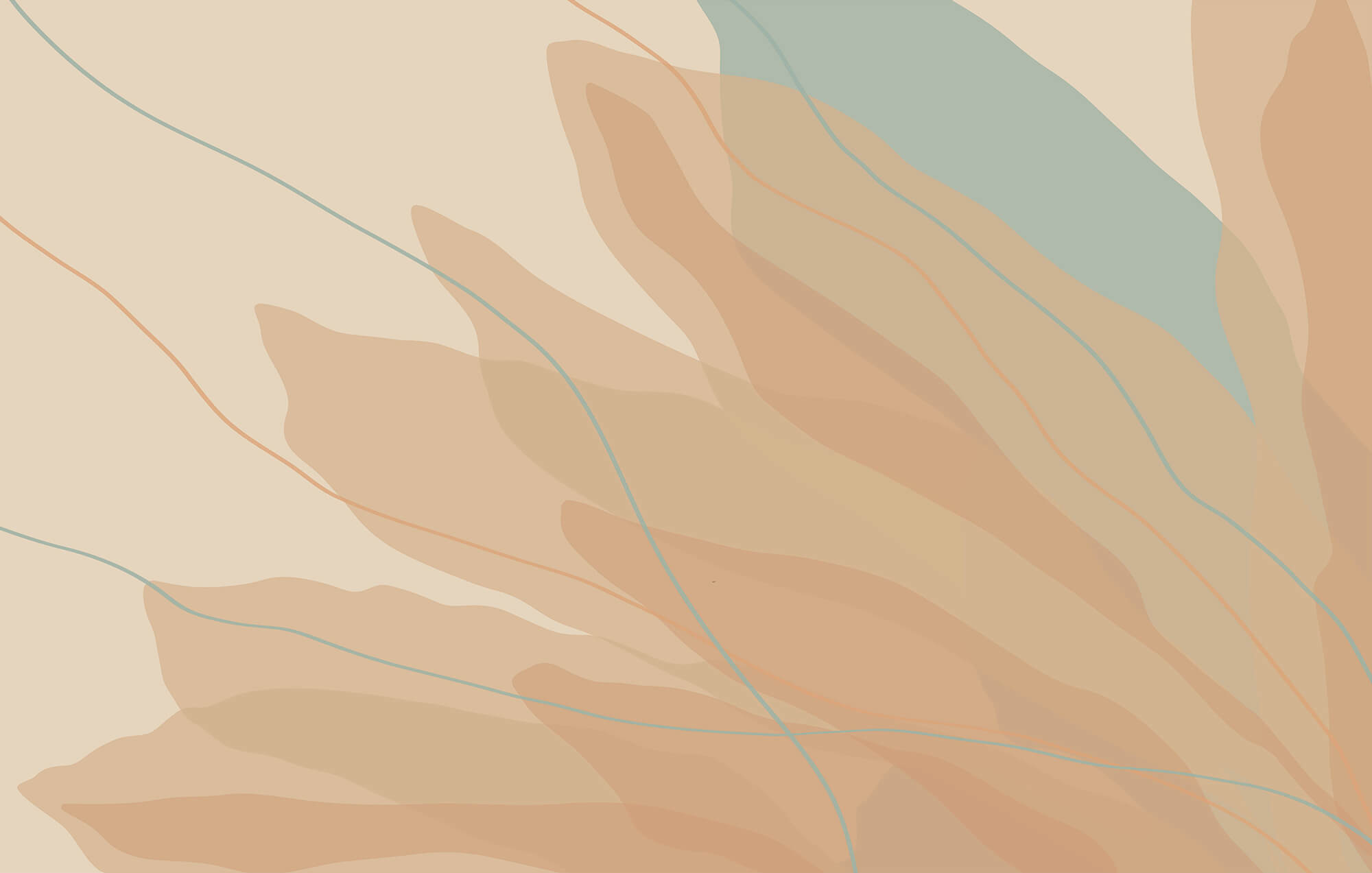 Flowing shapes in warm tones Flowing shapes in warm tones