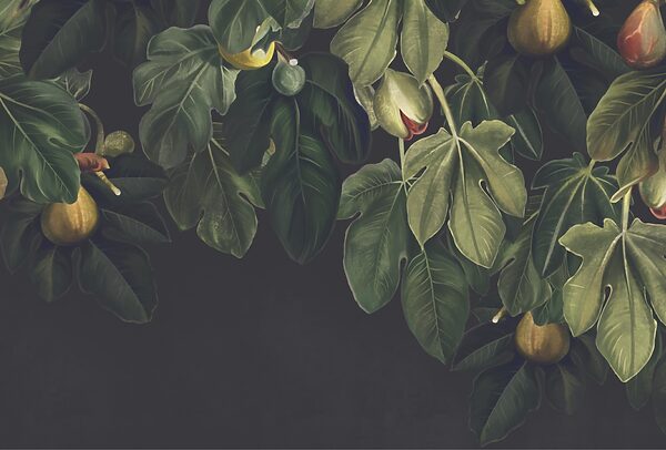 Feuillage luxuriant et fruits éclatants Feuillage luxuriant et fruits éclatants
