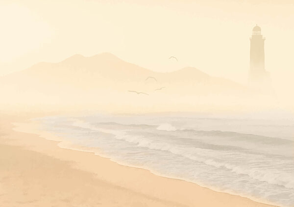 Beach with waves and birds