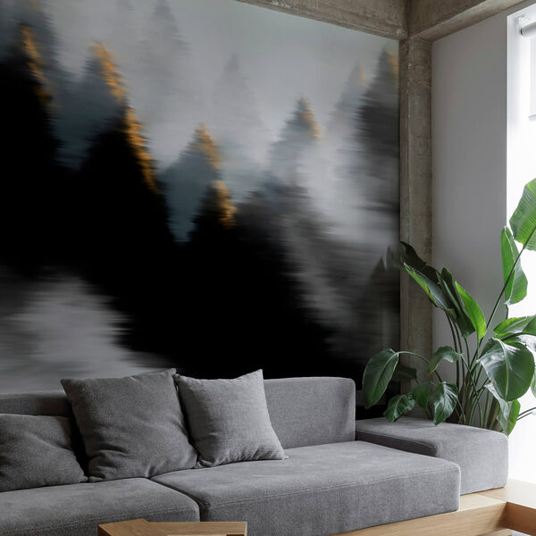 Forêt brumeuse avec des arbres Forêt brumeuse avec des arbres