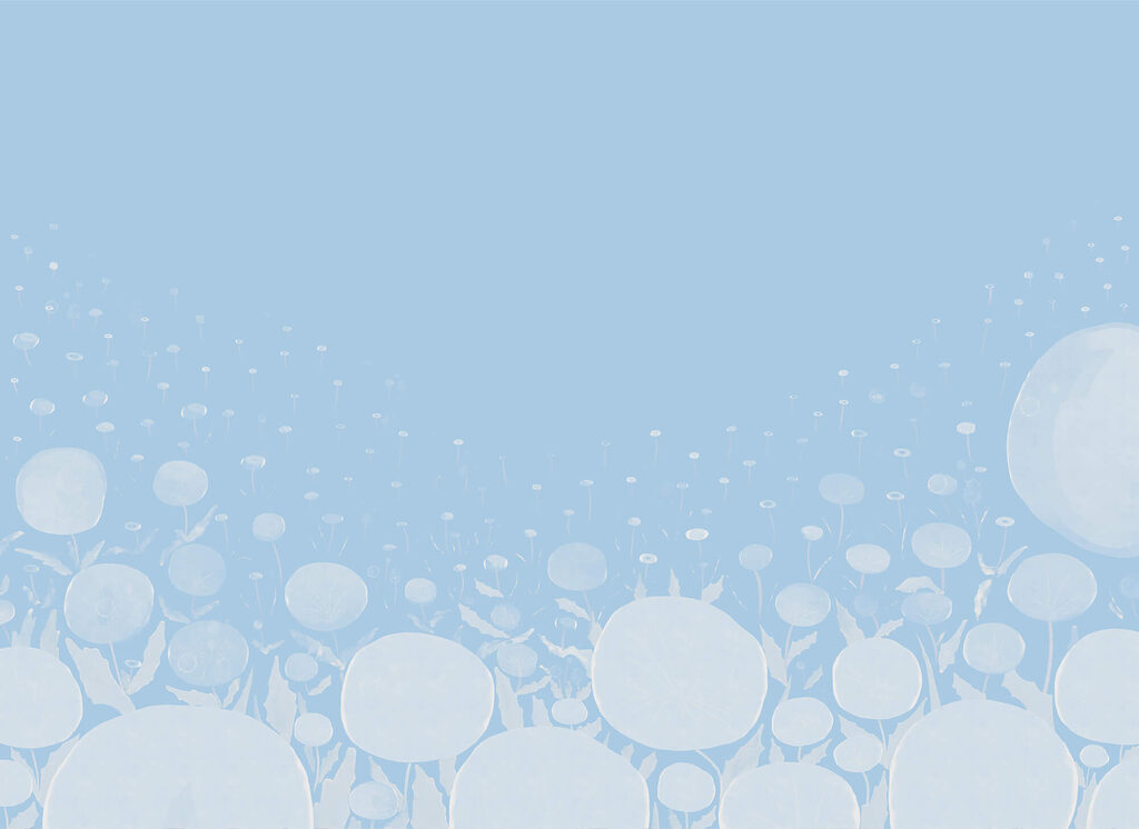 White flowers with leaves and a blue background White flowers with leaves and a blue background