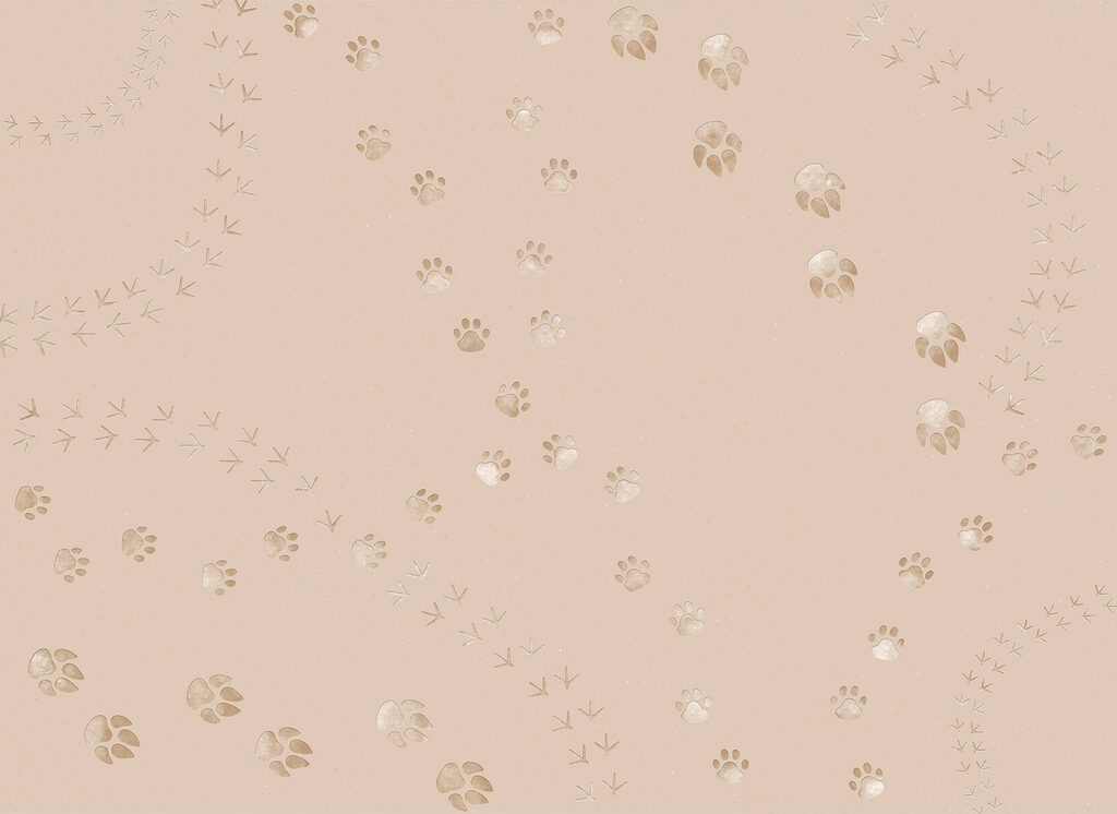 Pattern of paw prints and birds Pattern of paw prints and birds