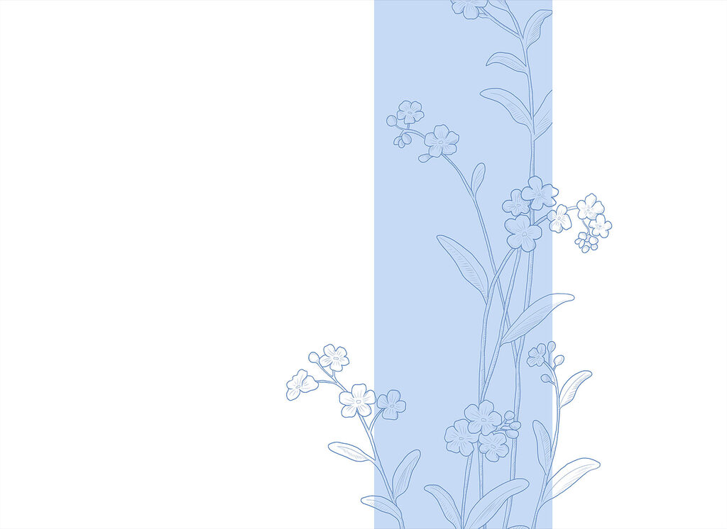 Blue and white flower drawing Blue and white flower drawing