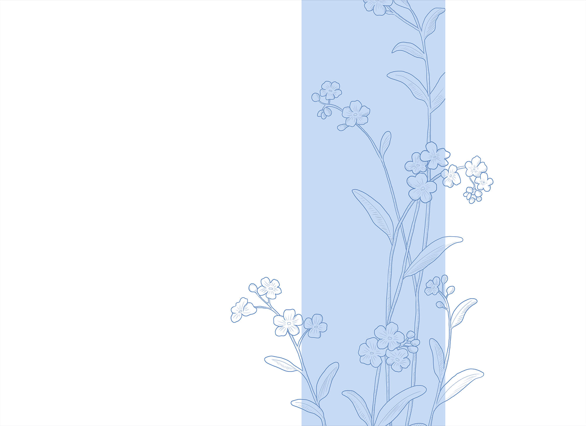 Blue and white flower drawing Blue and white flower drawing