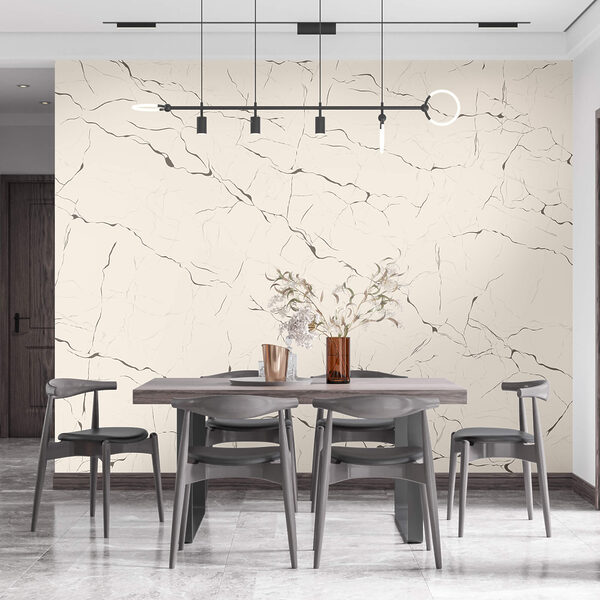 Surface blanche avec des fissures Surface blanche avec des fissures