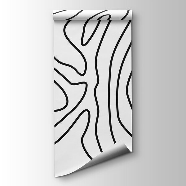 Black and white pattern Black and white pattern