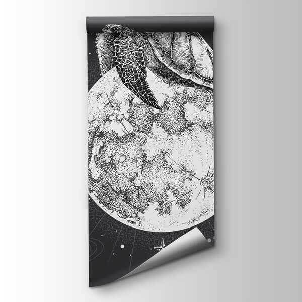 Turtle on the moon Turtle on the moon