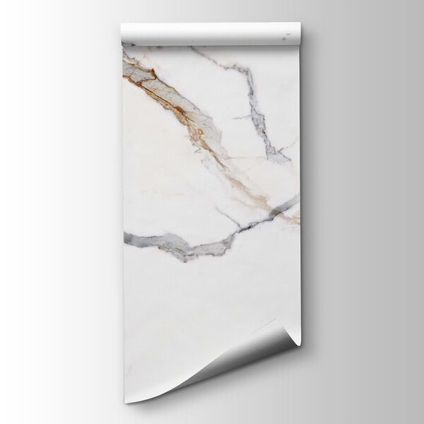 Elegant white marble with gray veins