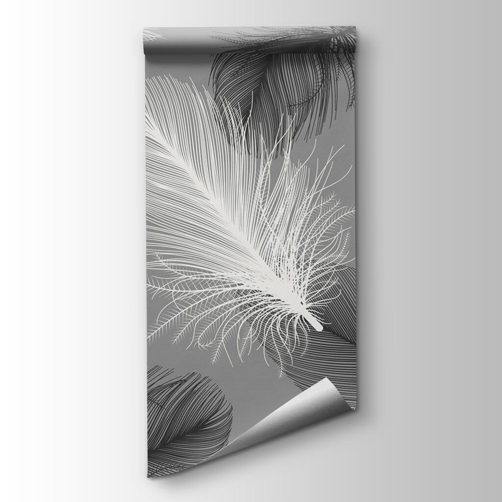 Delicate feathers in soft monochrome Delicate feathers in soft monochrome