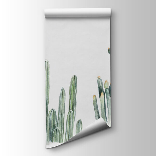 Group of cactuses on a white background