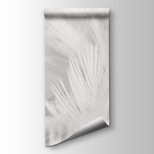 White feathers on a white surface White feathers on a white surface