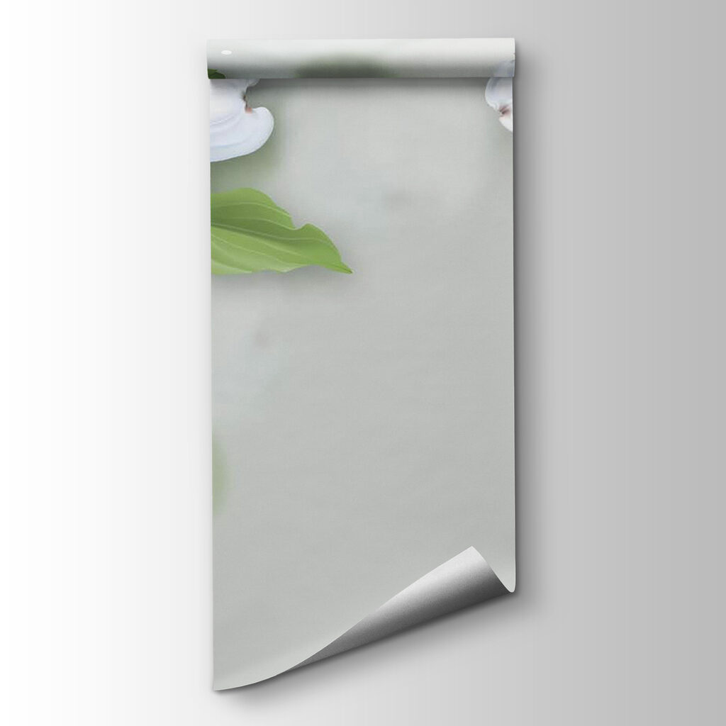 White flowers with green leaves White flowers with green leaves