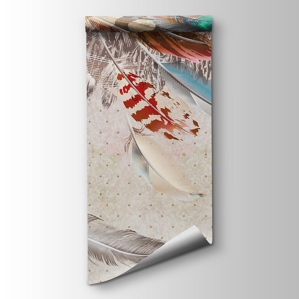 Group of colorful feathers Group of colorful feathers