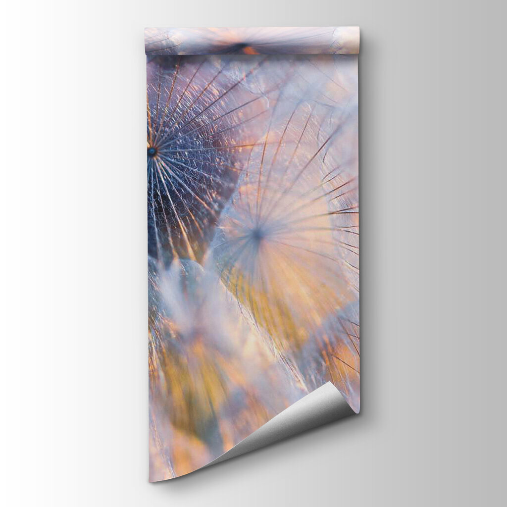 Delicate beauty in soft hues