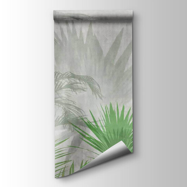 Shadow of a palm tree