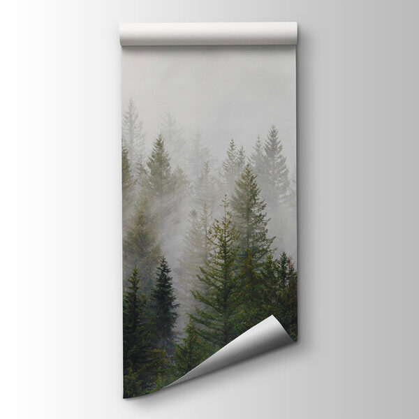 Group of trees in the fog Group of trees in the fog