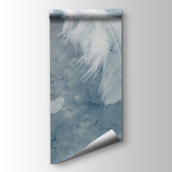 White feathers on a blue surface