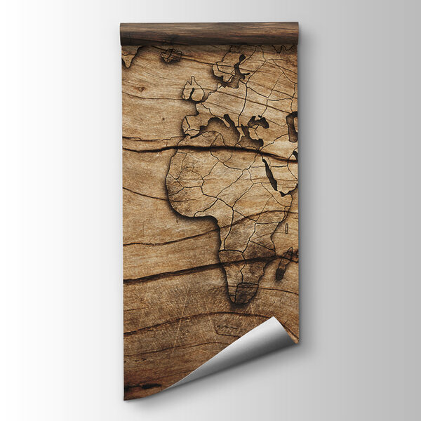Map of the world on a piece of wood Map of the world on a piece of wood