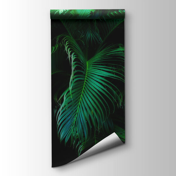 Lush greenery in tranquil darkness Lush greenery in tranquil darkness