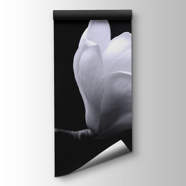 White flower on a branch White flower on a branch