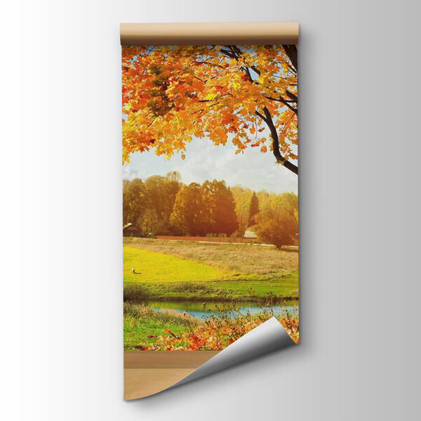 Window with trees and a river Window with trees and a river