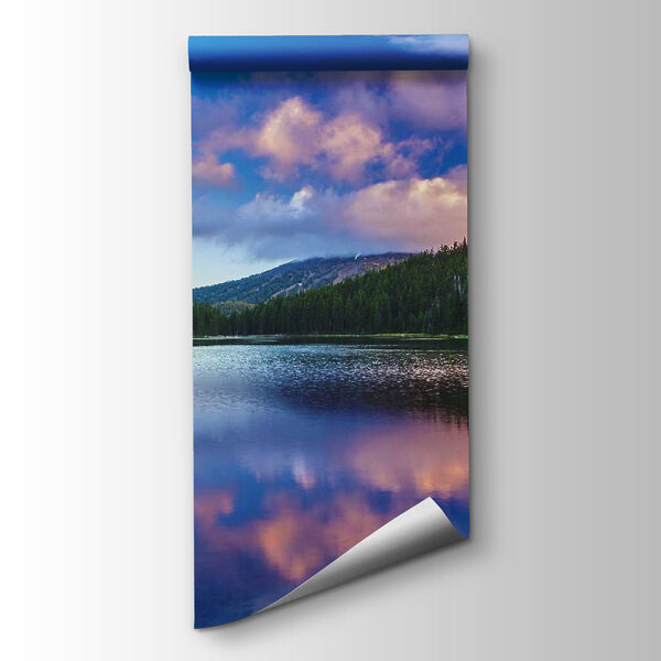 Lake surrounded by trees and mountains