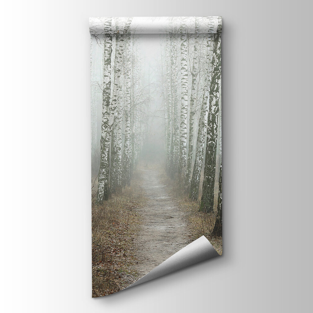 Path through a forest Path through a forest