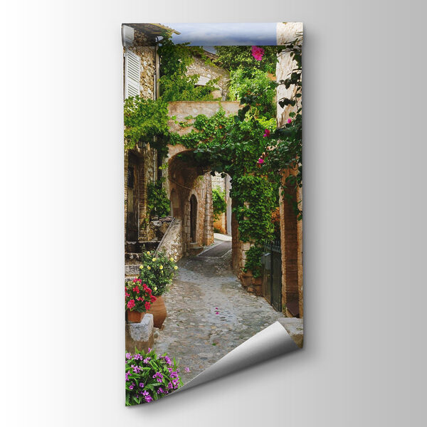 Stone alley with flowers and plants Stone alley with flowers and plants