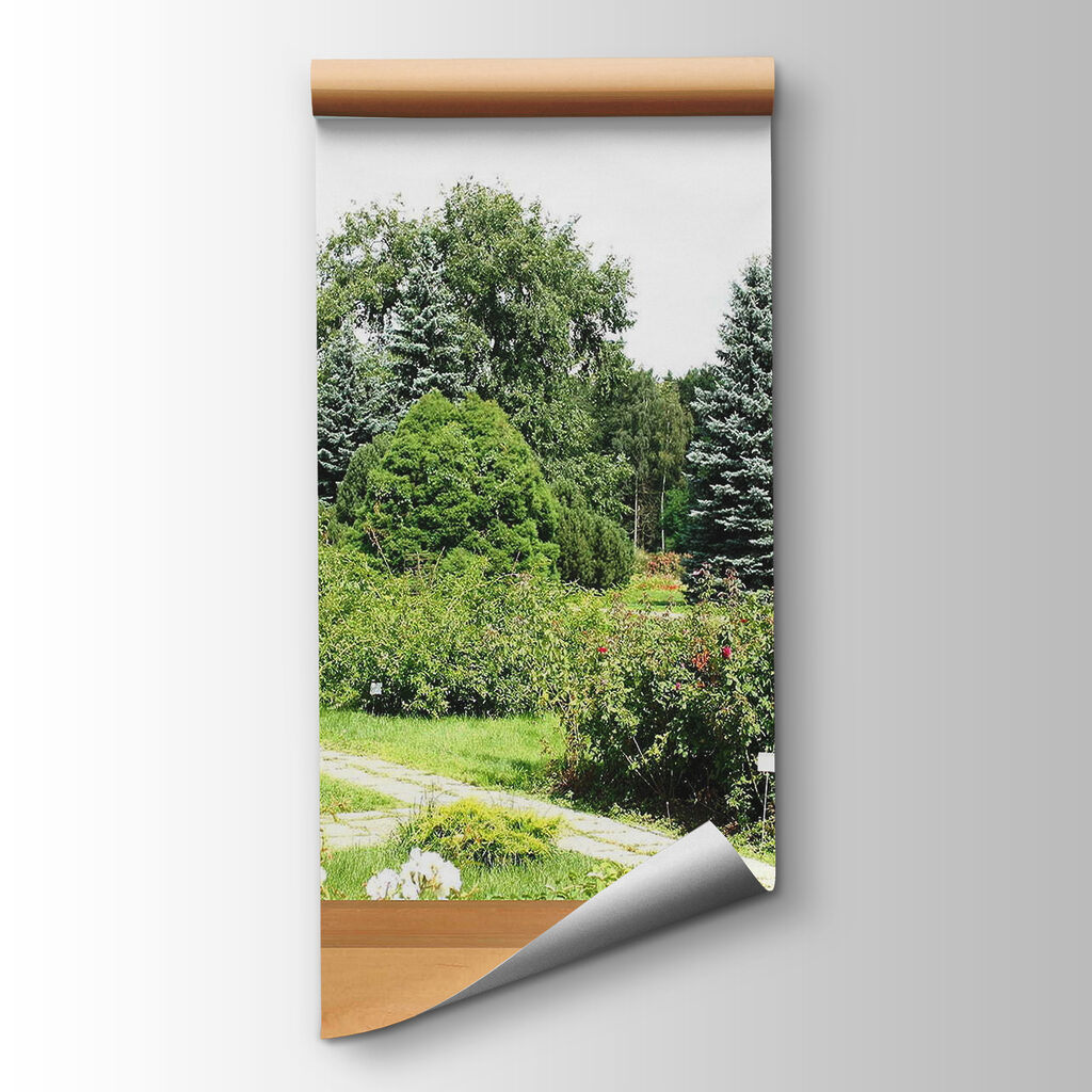 Window with trees and a path through it Window with trees and a path through it